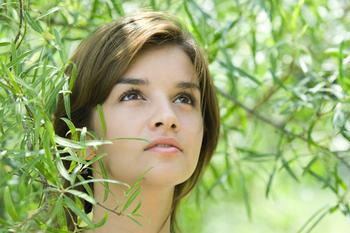 �齫��ȫ�Զ�������Ƶ��ɽ���ĳ��˴�ί���һ����������������(ͼ)...